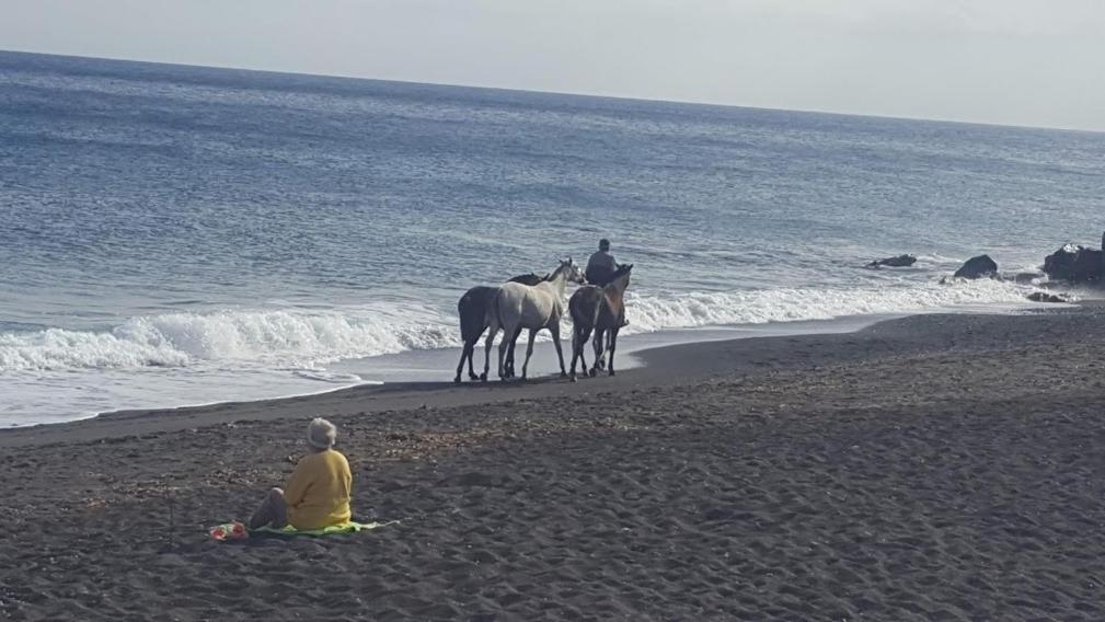 Santorini Pleasure Studios サントリーニ エクステリア 写真